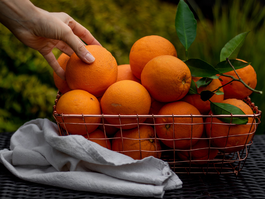 Sunrise Natural Foods Style Magazine