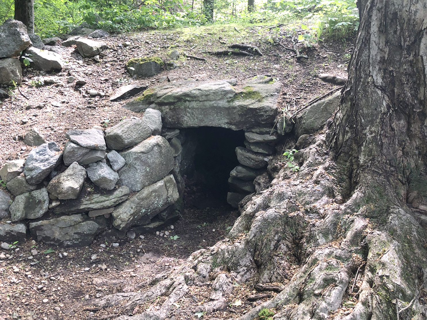 Upton hidden gem Heritage Park FreePress