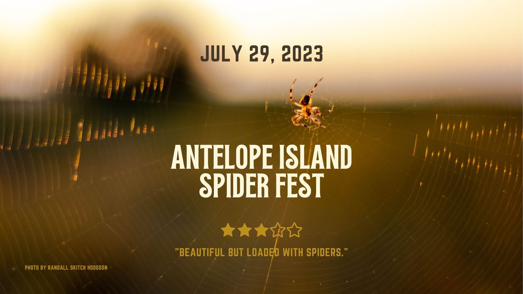Antelope Island Spider Fest 2023