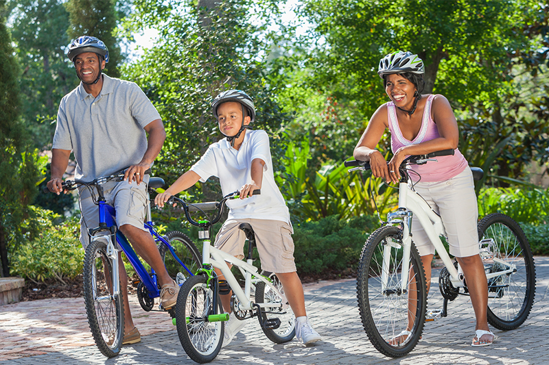 Best bike for family riding online