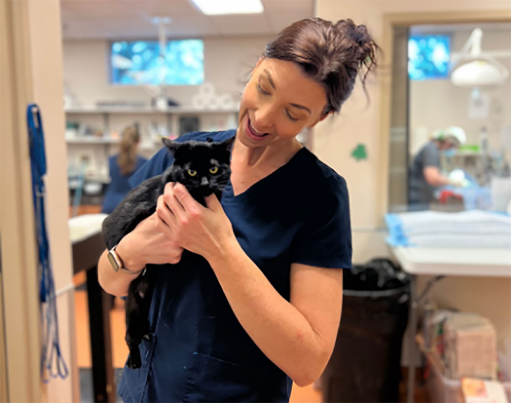 New NoCost Community Cat Clinic Saves Lives Carmichael Times