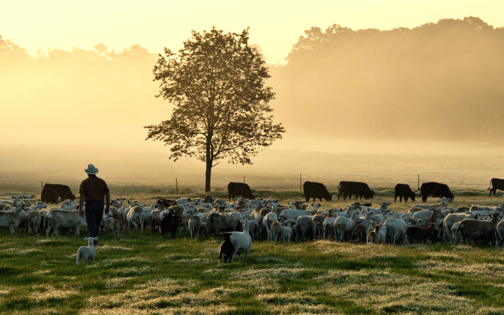 Regenerative Farming Products Now at Nuts ’n Berries Natural