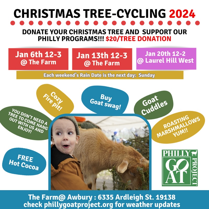 Philly Goat Project’s annual Christmas TreeCycling