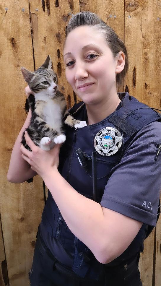 Local Animal Control Looks to the Community for Help