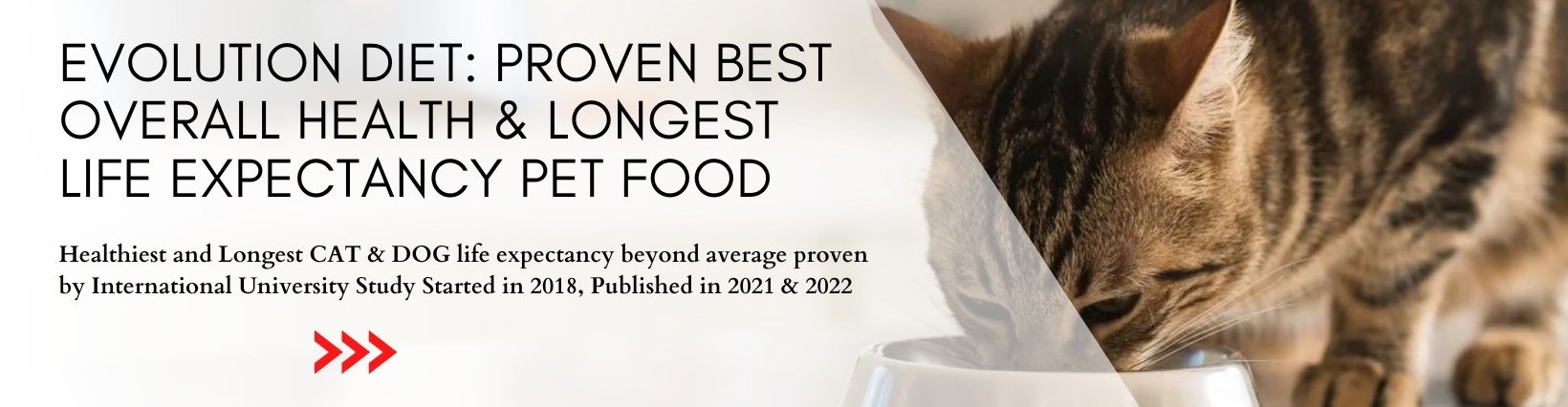 Evolution hotsell cat food