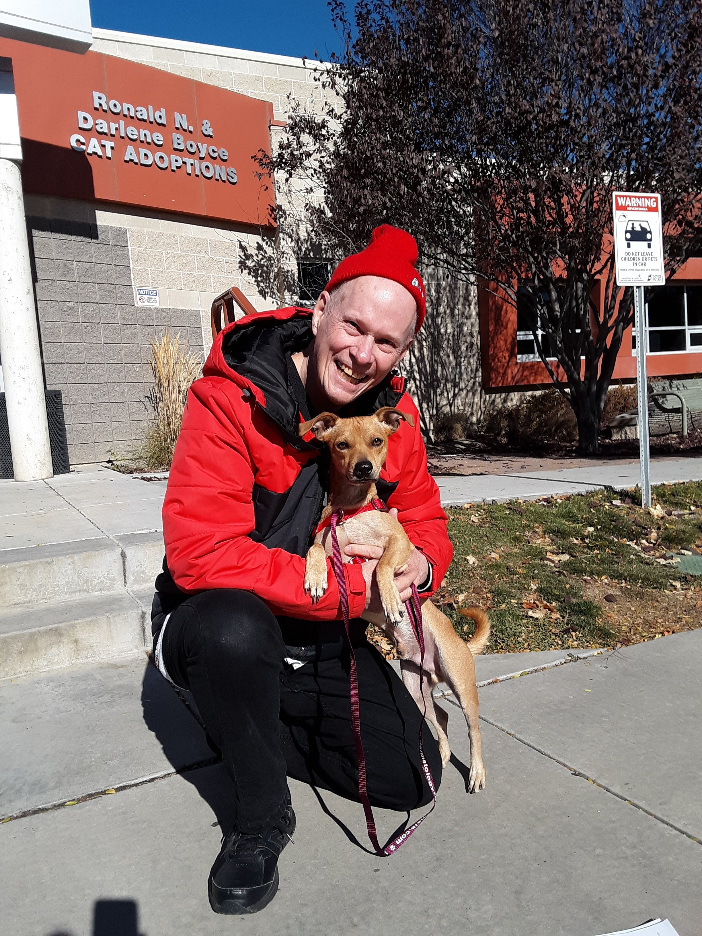 National Pet Day – Things to know before buying a pet