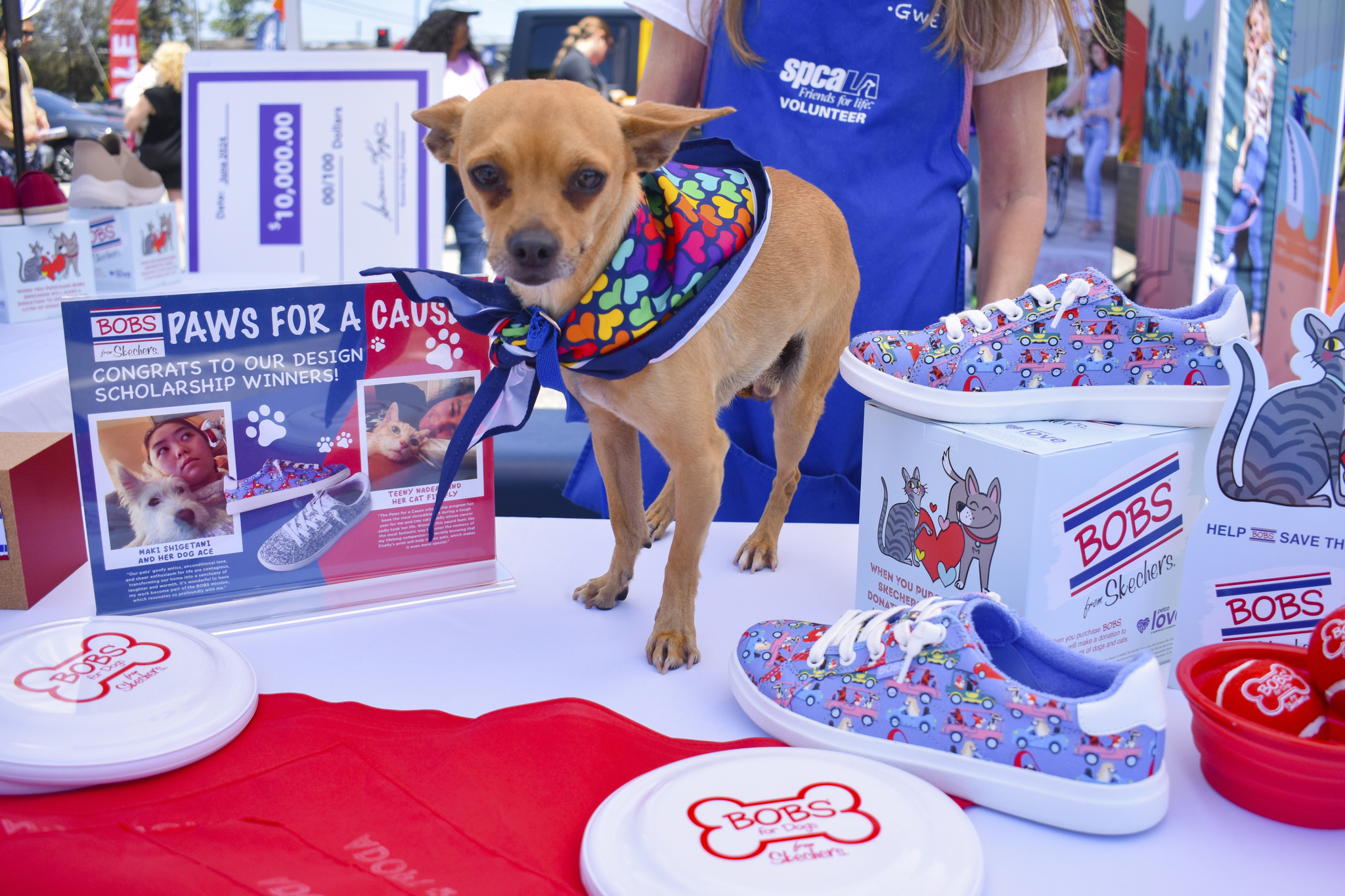 BOBS From Skechers Celebrates 11 Million in Donations to Animal Welfare Manhattan Beach CA Manhattan Beach News MB News