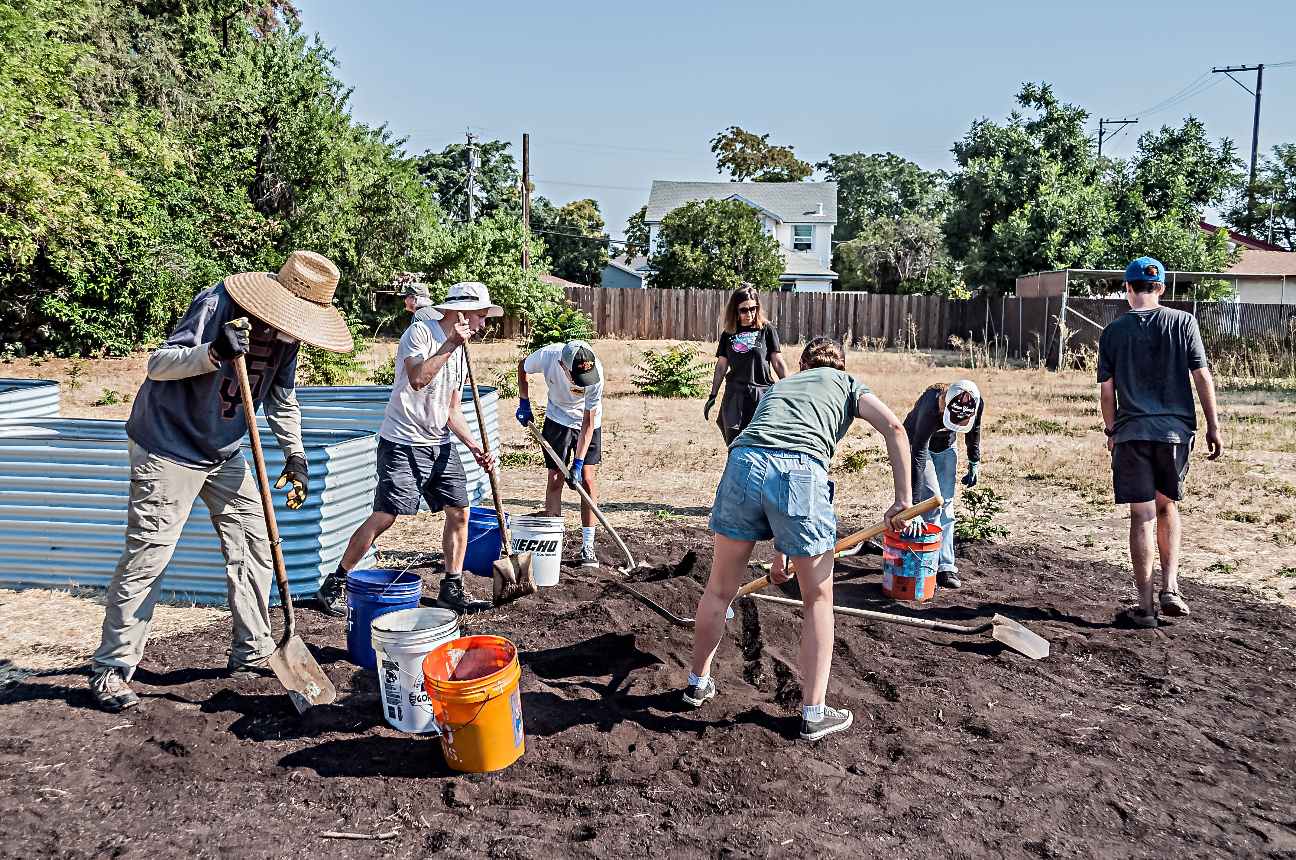 Community Garden Blooms at Library | Independent Voice