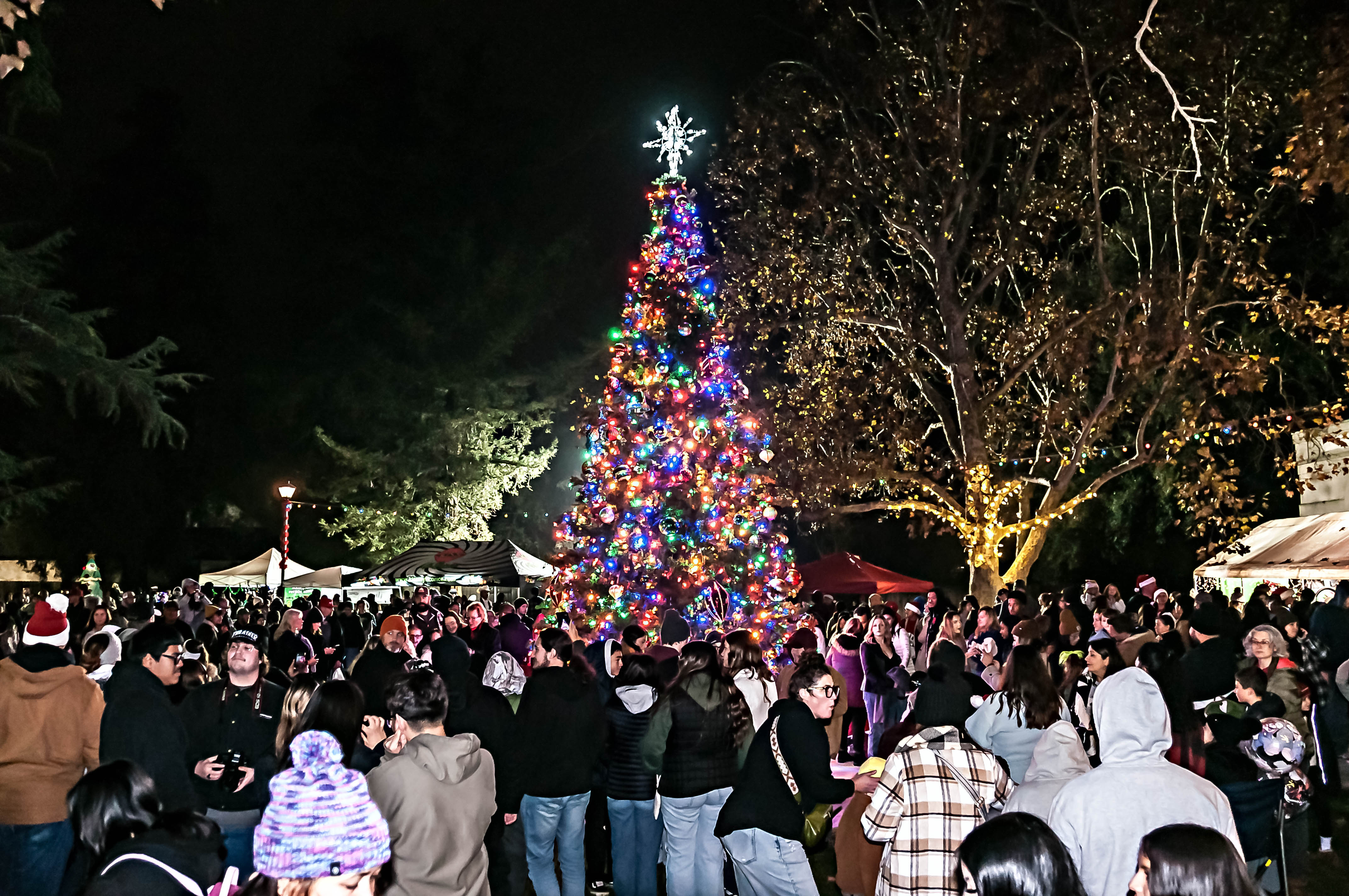A Magical Victorian Christmas Transforms Downtown | Independent Voice