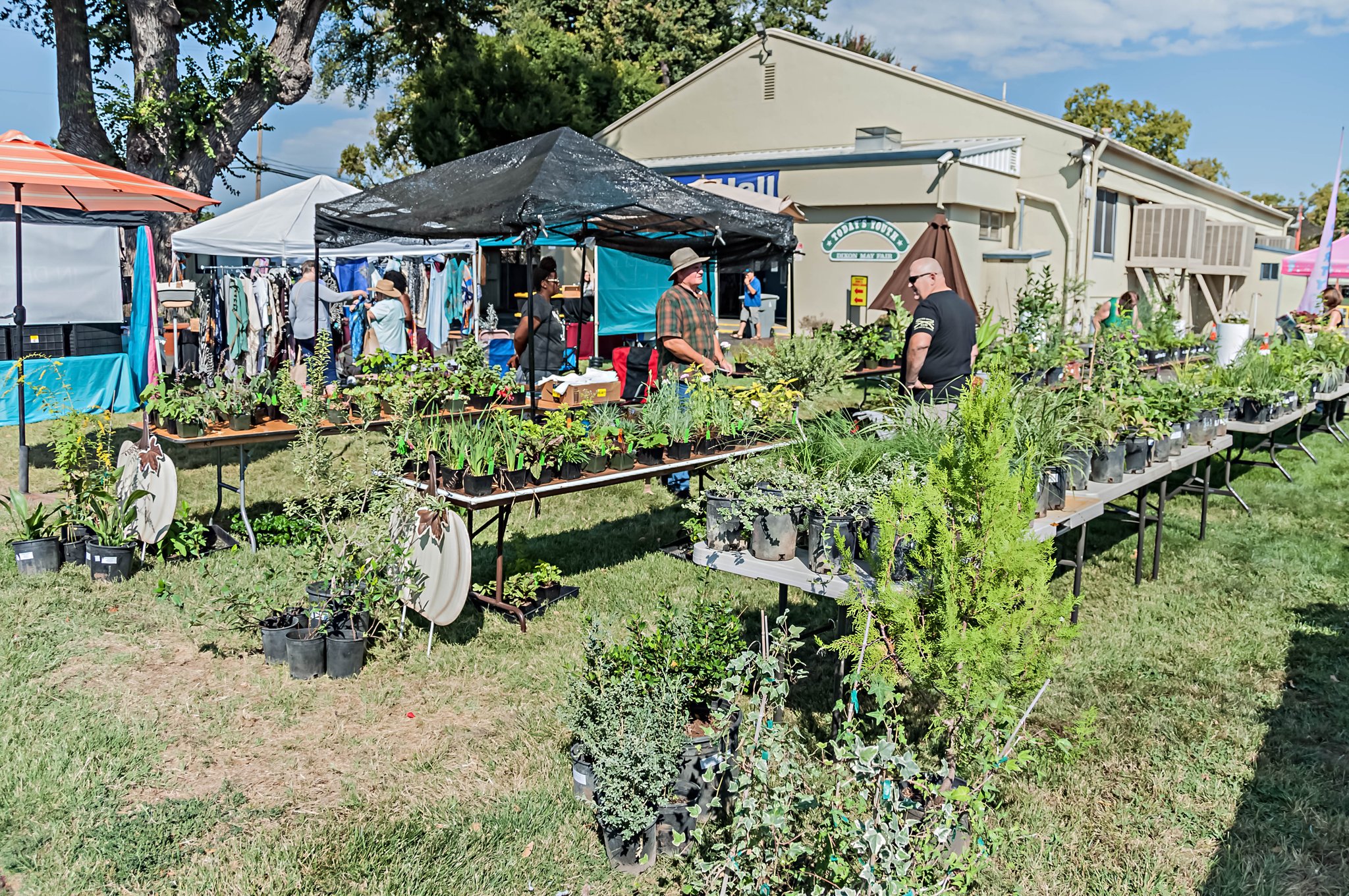 Dixon May Fair Makes Plans | Independent Voice