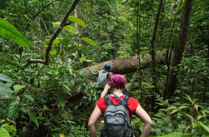 SCNP: Arbor Day Tree ID Hike