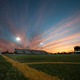 Thumb_fieldphotorta_0342