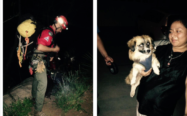 Two (with dog) found in overnight rescue | Altadena Point