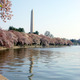 Thumb_washington-memorial-dc-2004-creditsimon_williams