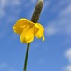 Thumb_mexicanhat_web