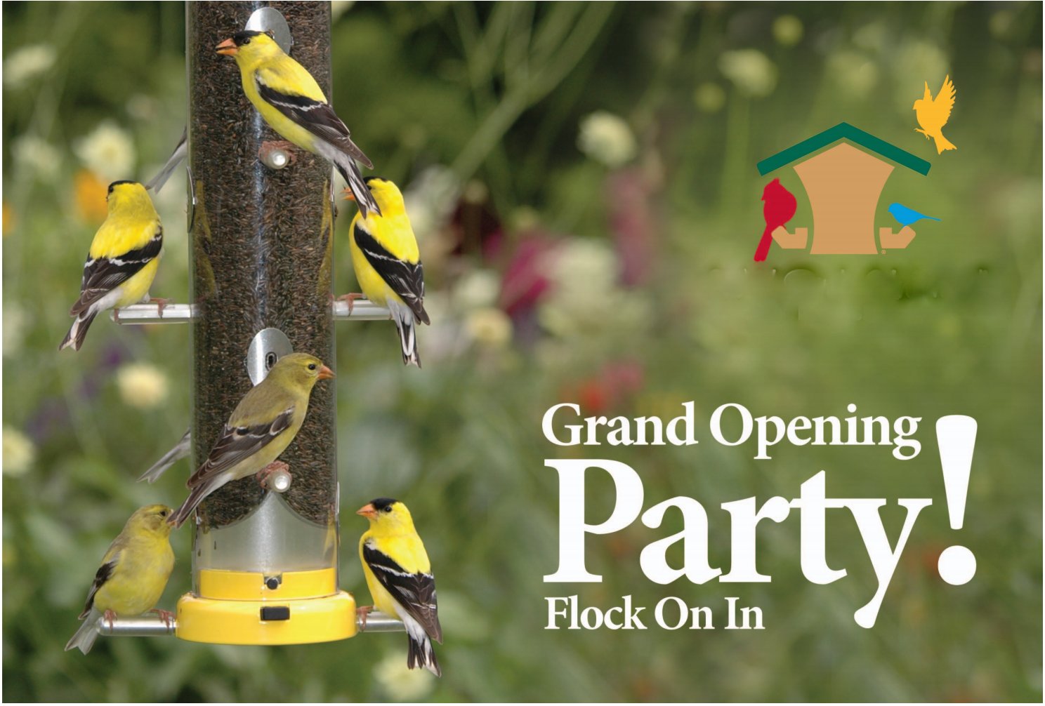 Wild Birds Unlimited Grand Opening