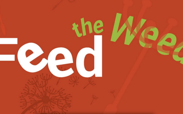 “Feed the Weed” is NewTown’s 20th anniversary event | Altadena Point