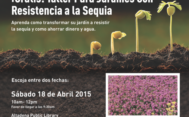 PWP holds Spanish-language waterwise landscaping workshop at the Library | Altadena Point