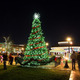 Thumb_townsquarecity_tree_night_web