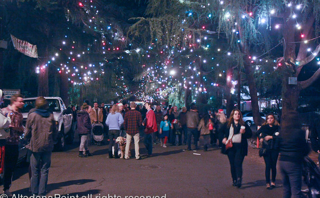 Looking at “Altadena’s Urban Forests” on April 16 | Altadena Point