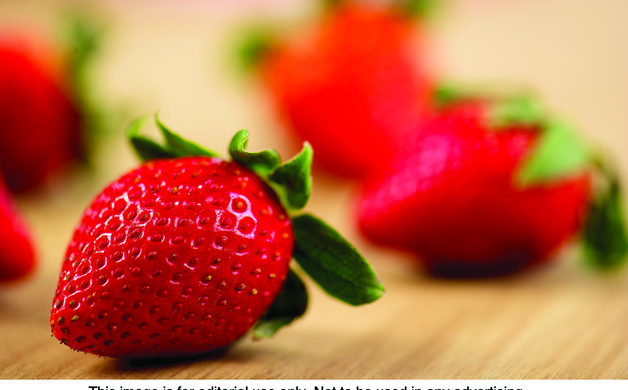 Main_image_strawberries