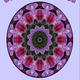 Thumb_book_cover_oneness2