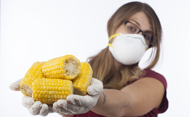Main_image_gmo_food_woman_large
