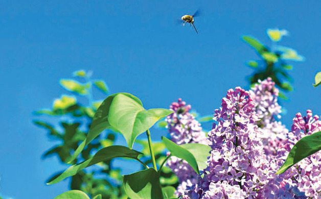 Main_image_spring-2013-slider