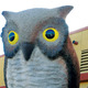 Thumb_owl