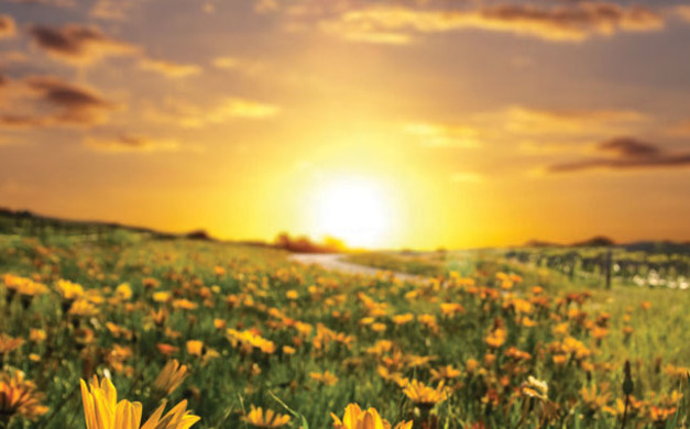 Main_image_in-this-issue-featured-image