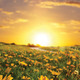 Thumb_in-this-issue-featured-image