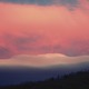 Thumb_genunie_007