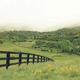 Thumb_genunie_004