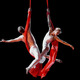 Thumb_alexander_streltsov___christine_van_loo__aerial_duo__1