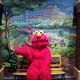 Thumb_sesame_street_-_the_body