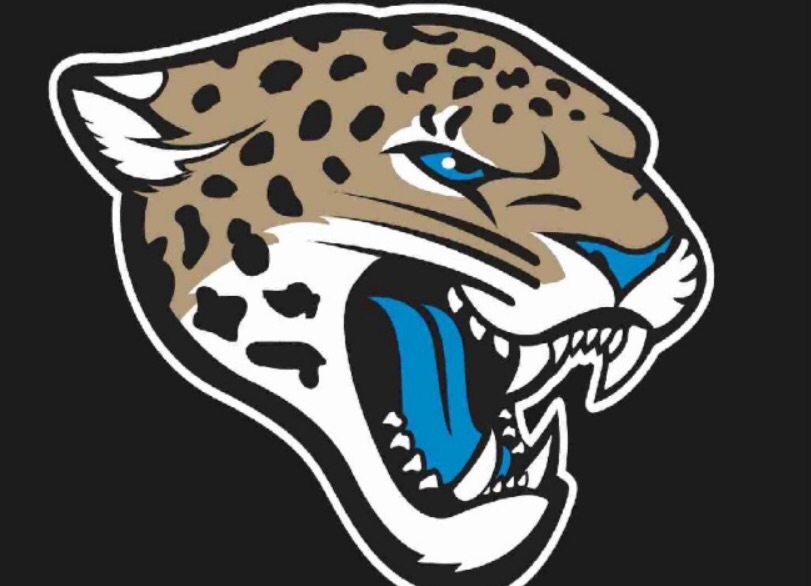 West Jordan Jaguar Youth Football, Sports league