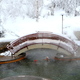 Thumb_jan_31_2013-006