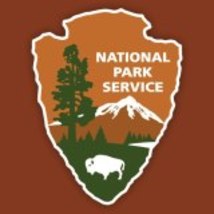 Medium_nps