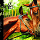 Thumb_horsinaroundcover
