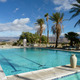 Thumb_palmspool_2012_030