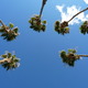 Thumb_borrego_springs_2012_080