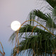 Thumb_p1100922_copy