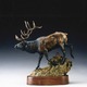 Thumb_moose