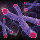 Thumb_telomerespectracellweb