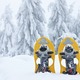 Thumb_snowshoes