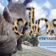 Thumb_closeencounters_pic