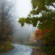 Thumb_20121024_6240