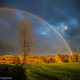 Thumb_20121020_6236