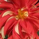 Thumb_247969_1736282892270_8177719_n