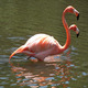 Thumb_100_7334_copy2